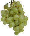 grapes